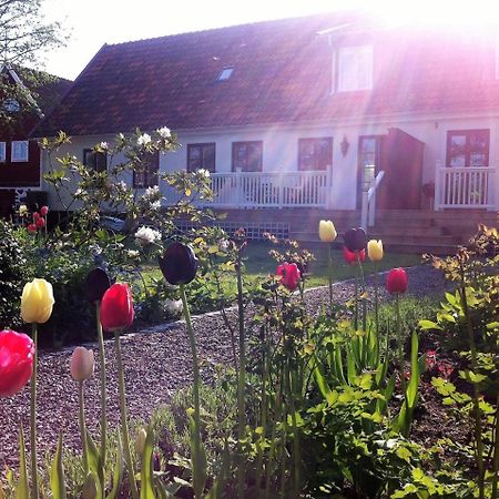 Svanebaecks Gard Villa Viken  Eksteriør bilde