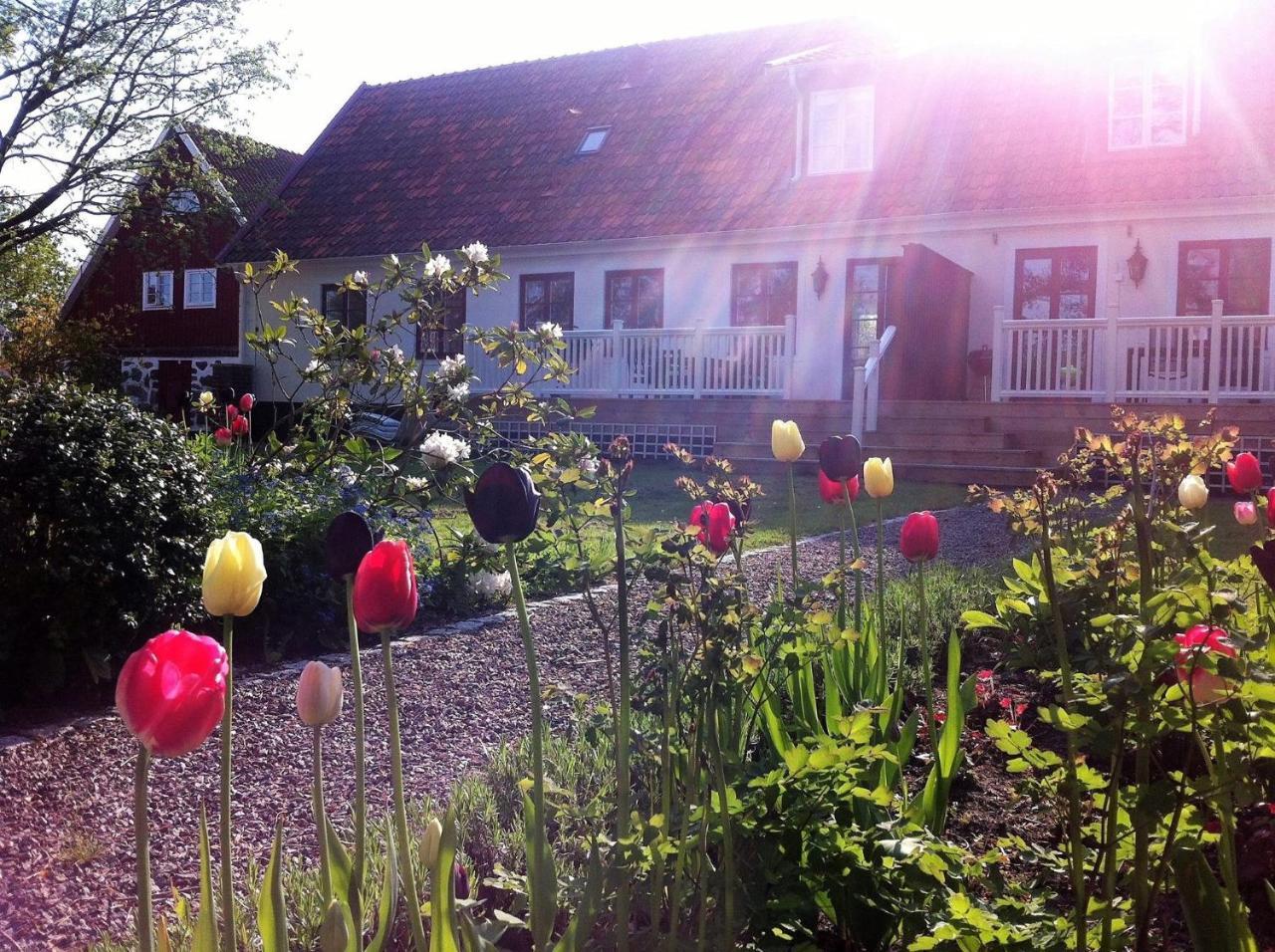 Svanebaecks Gard Villa Viken  Eksteriør bilde